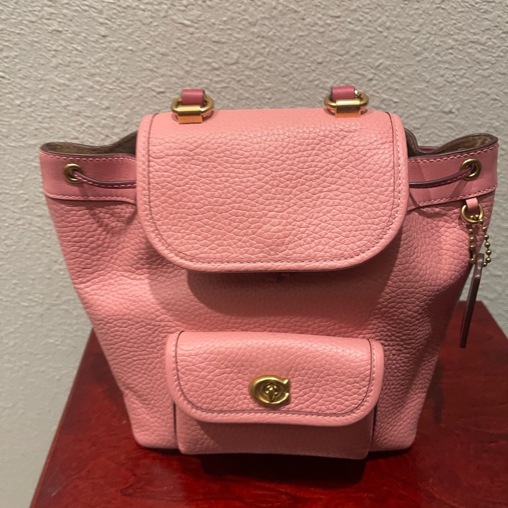 SOLD…….Coach Riya